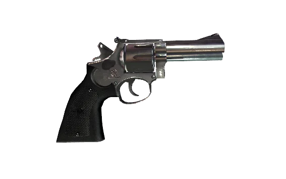 sw model 19