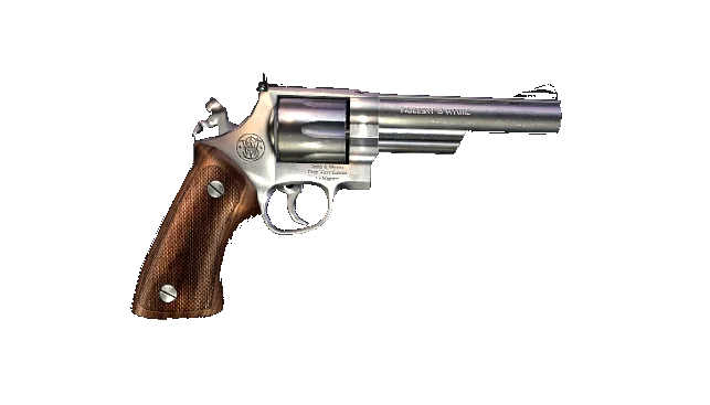 sw model 29