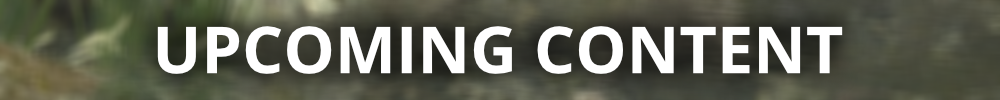 OpfSnE7zysRyubzD.png